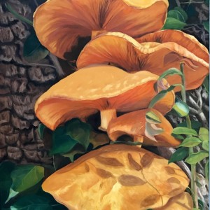 Glorious-Fungi