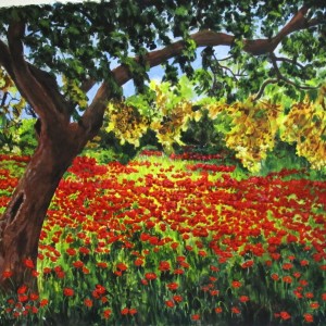 Poppy Field
