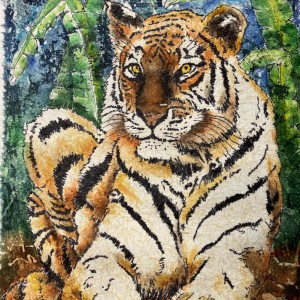 Reclining-Tiger