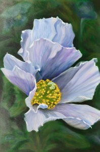 Blue-Poppy-24x36-oil