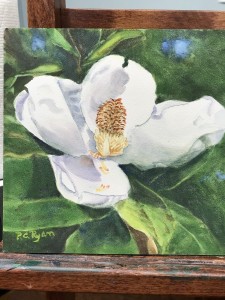 Magnolia